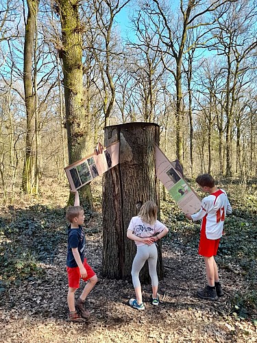 Mes Carnets d'aventures à Haillot- Ohey