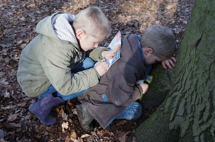 Mes Carnets d'aventures à Haillot- Ohey