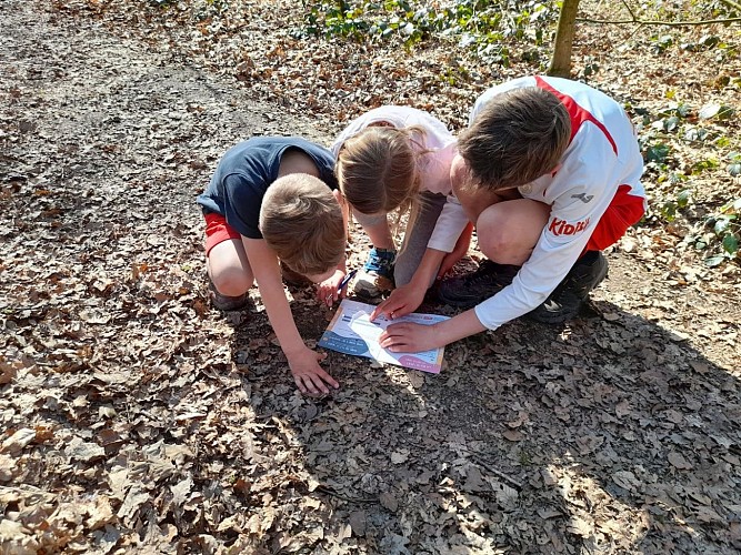 Mes Carnets d'aventures à Haillot- Ohey