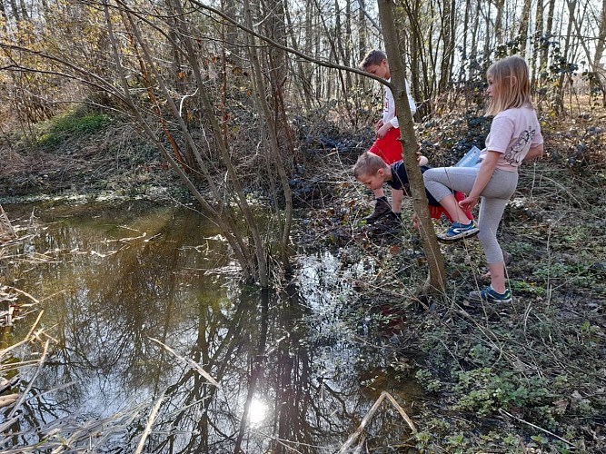Mes Carnets d'aventures à Haillot- Ohey