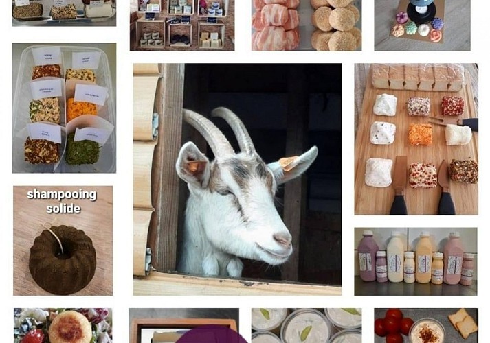 L'Artis'âne et compagnie