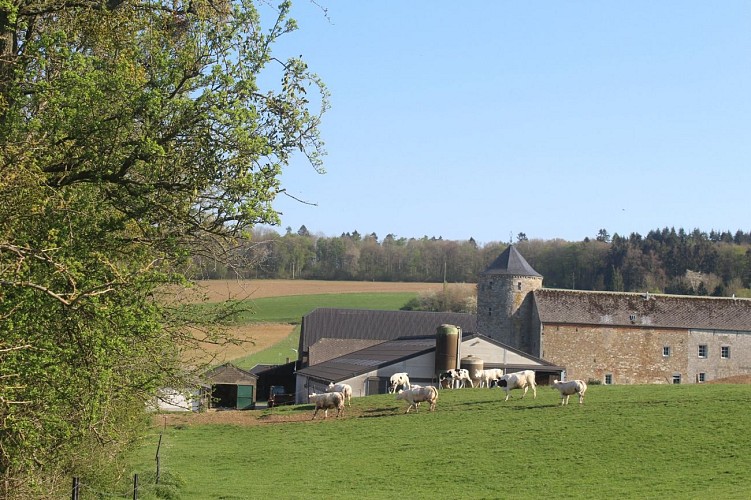 Ferme du Château Ossogne