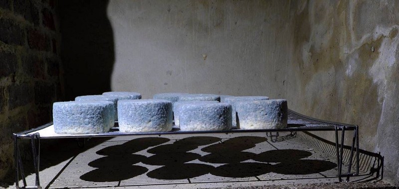 Bleu de leignon atelier 117