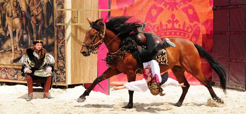 Les écuries du maréchal de Saxe