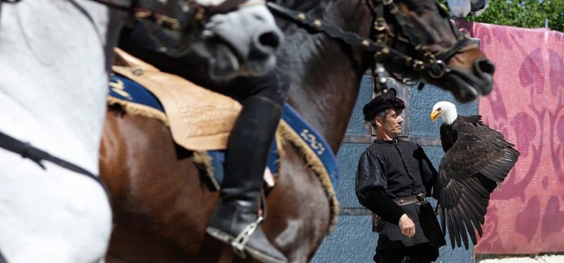 Les écuries du maréchal de Saxe