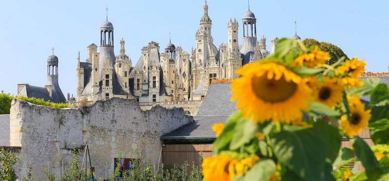 Visite guidée des potagers de Chambord