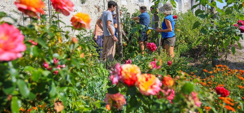Visite guidée des potagers de Chambord