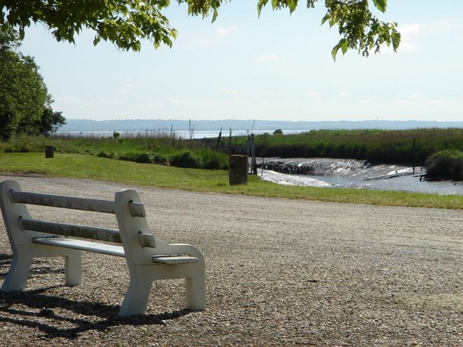 Begadan--15--1200x900