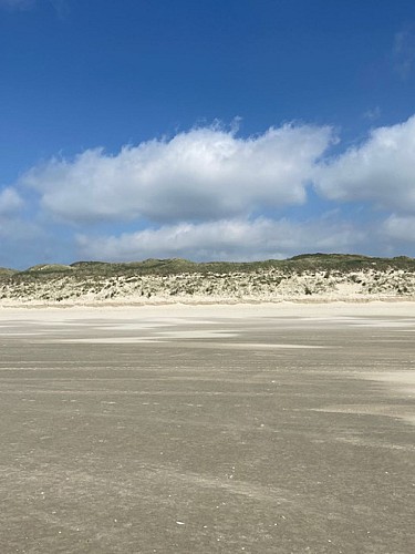 espace  Cottage LA FORET