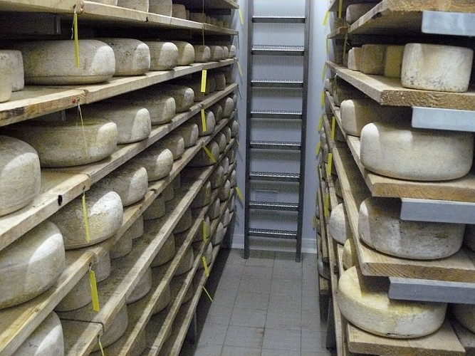 cave fromage