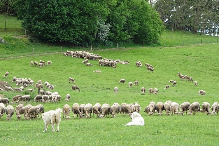 GAEC LES BESSOUS - CASSAGNE