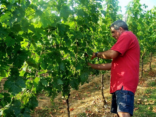 Domaine du Bas-Queyssac