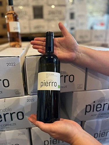 372924525_122100651188024868_5845939535168437714_n_3