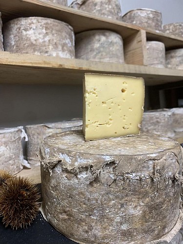 Ferme Fromagère Lou Roc