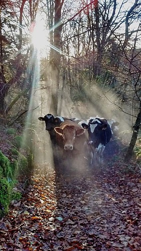 Ferme Fromagère Lou Roc