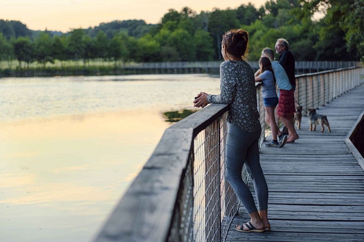 Etang de la Besse - Meilhards © Benoit Charles (20)