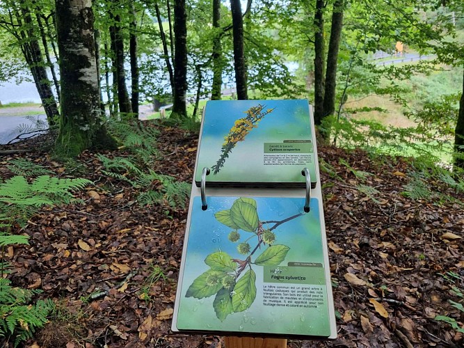 Plan d'eau de la Besse - Meilhards ©Laurence Léonard  (10)