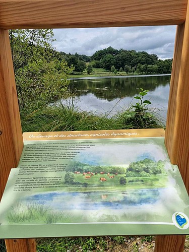 Plan d'eau de la Besse - Meilhards ©Laurence Léonard  (18)