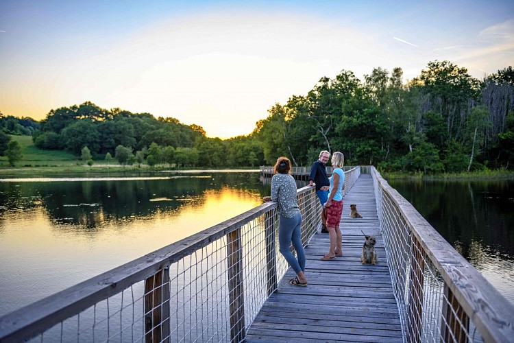 Etang de la Besse - Meilhards © Benoit Charles (10)