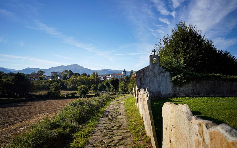 FRANCE - ILLUSTRATION PAYS BASQUE - SARE