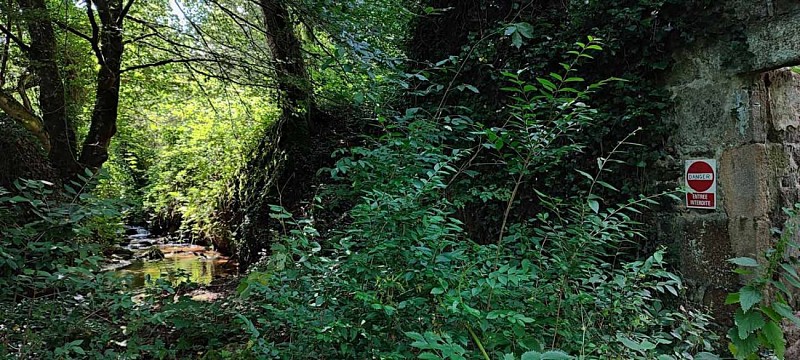 Ruine du moulin sous la végétation