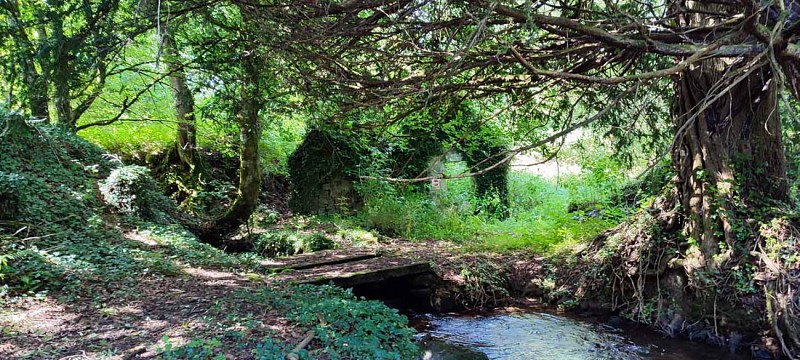 Le moulin et pont sur le bief