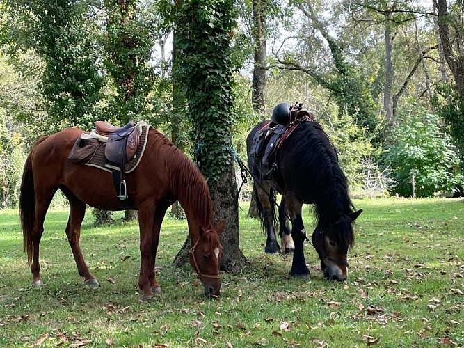 2v82Gd4rP0HHFC2ekVX5KvxLP0rwZvenhkrtTTFj3tE=_plaintext_638368514025601391