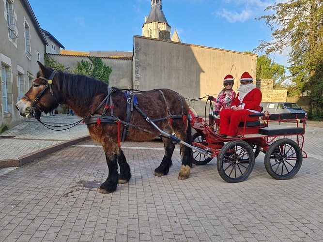 Balade calèche noël