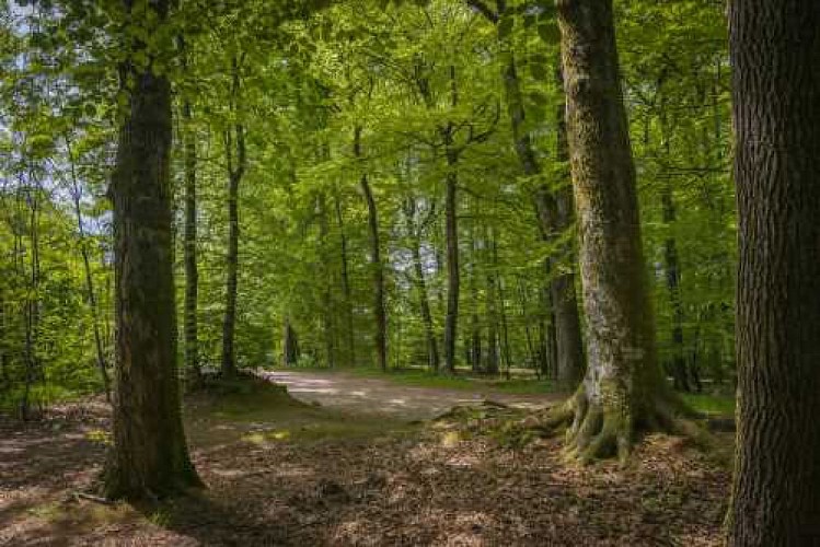 Tèrra Aventura : A la bonne fortune du baron de la Bastide !