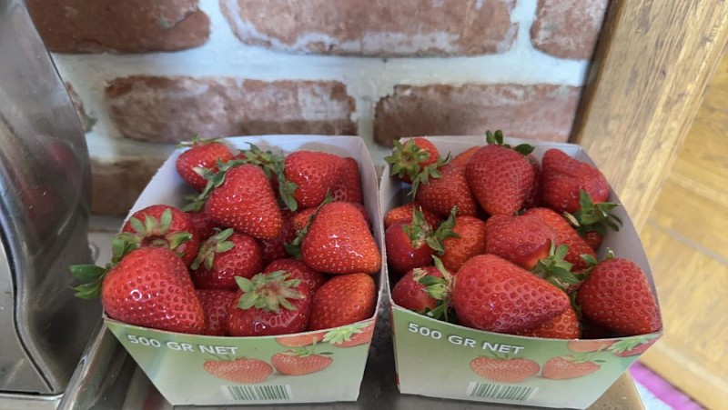 349895375_737961384737506_4472824500097363634_n