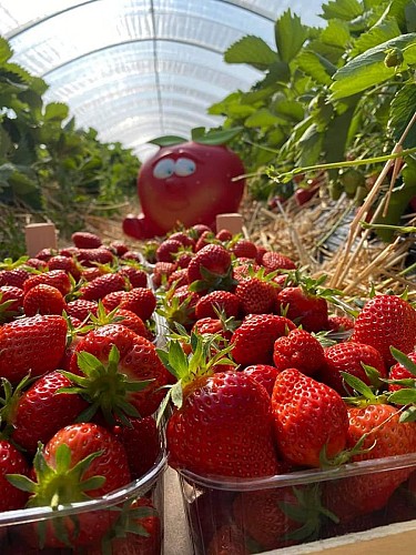 351335131_660487809455669_5292374419354877637_n