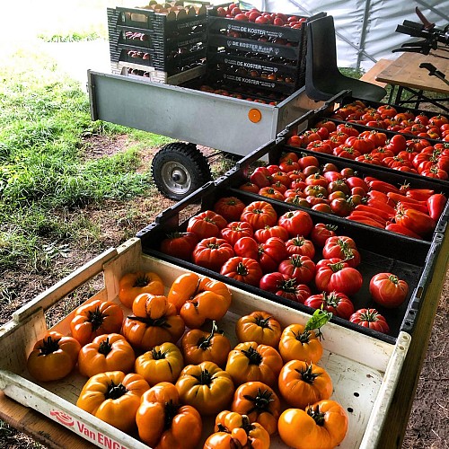 365535802_266326252798508_6869059478769153404_n