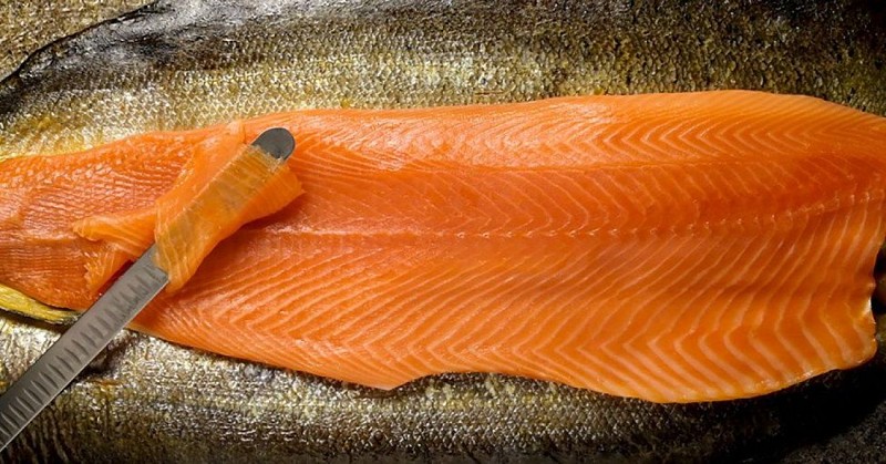 326962339_845863660046139_6805244033970311371_n