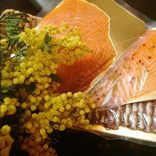 336358793_590202329654255_7264992467394109653_n