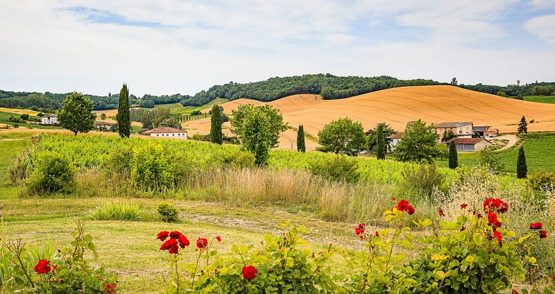 Domaine Duffau