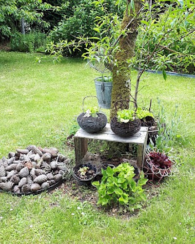 Chambres d'hôtes à Aubigny-sur-Nère, Le Buisson de la Gariole