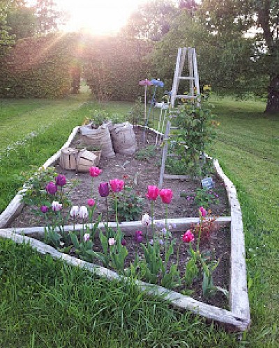 Chambres d'hôtes à Aubigny-sur-Nère, Le Buisson de la Gariole