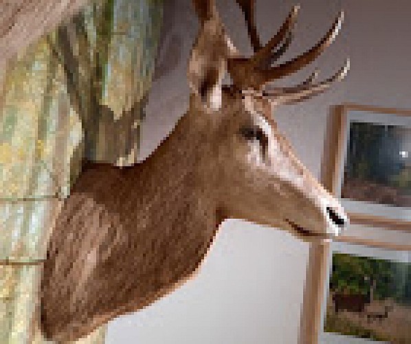 Maison du Cerf à Villeny