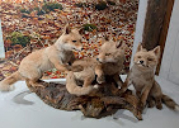 Maison du Cerf à Villeny