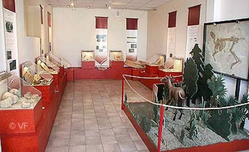 Musée Pierre Martel