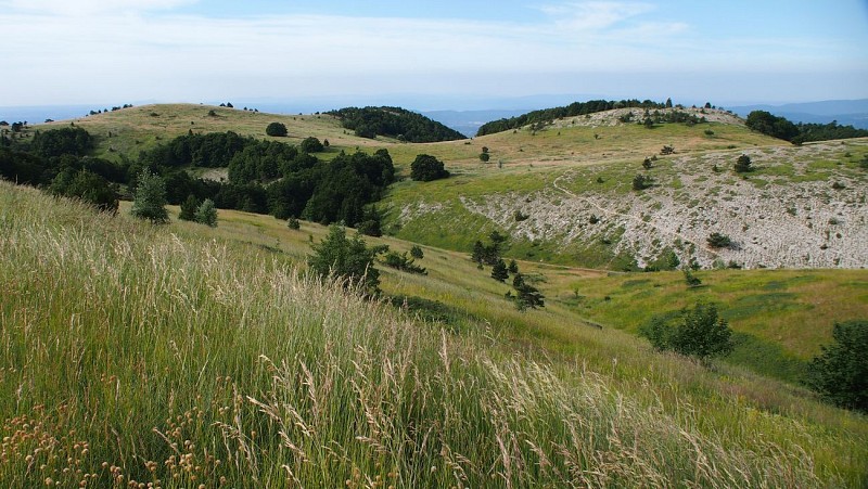 Montagne de Lure