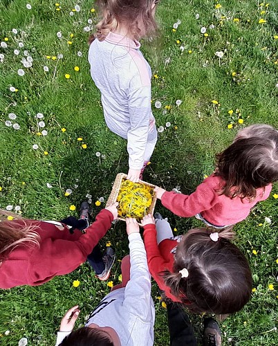 345588390_6880480588634352_469262825398408478_n