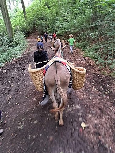 361894209_651124990377632_7890350358414833626_n