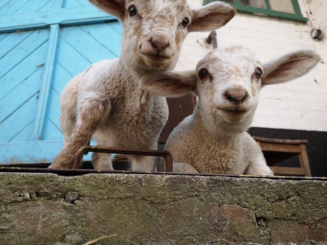 325665607_1118370265491805_2672505829770253198_n