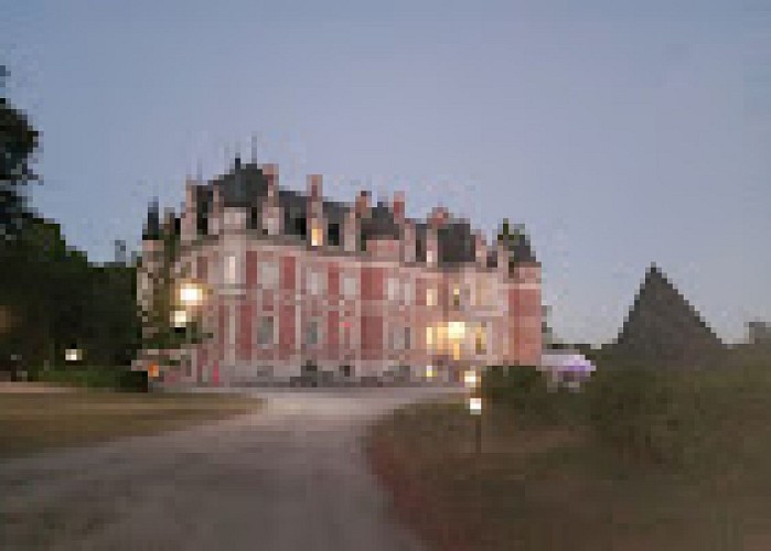 Château de la Ferté-Imbault