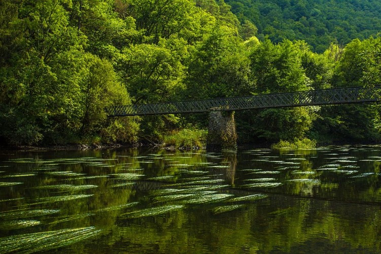 Les trois cuves de Chambonnet