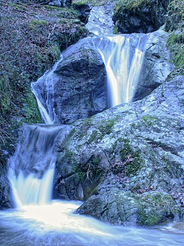 Les trois cuves de Chambonnet