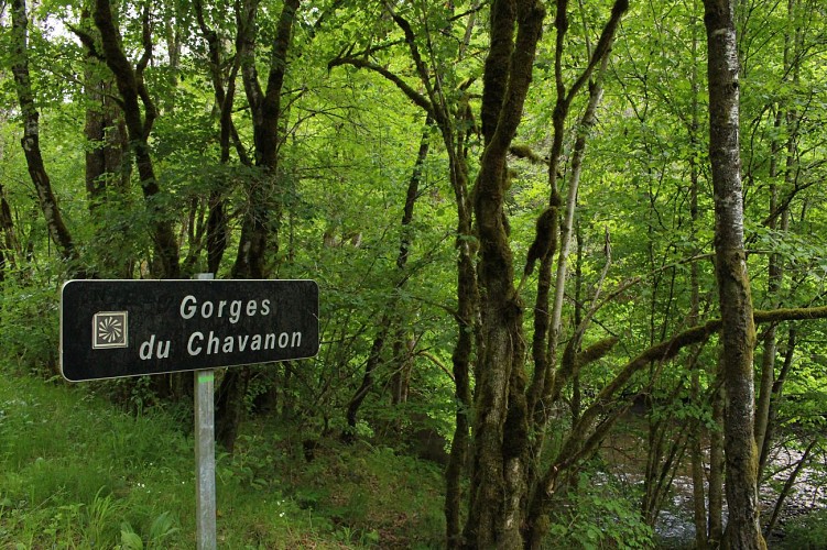 Gorges of Chavanon