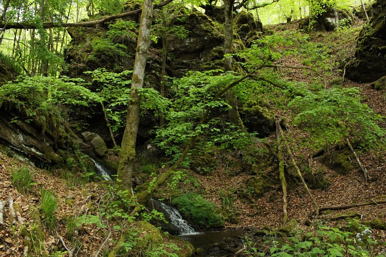 Gorges du Chavanon