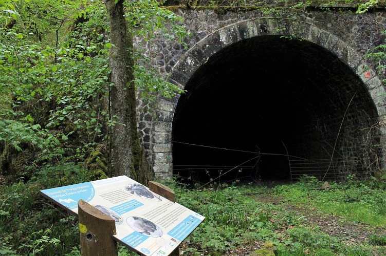 Gorges du Chavanon